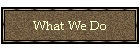 What We Do