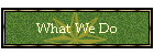 What We Do